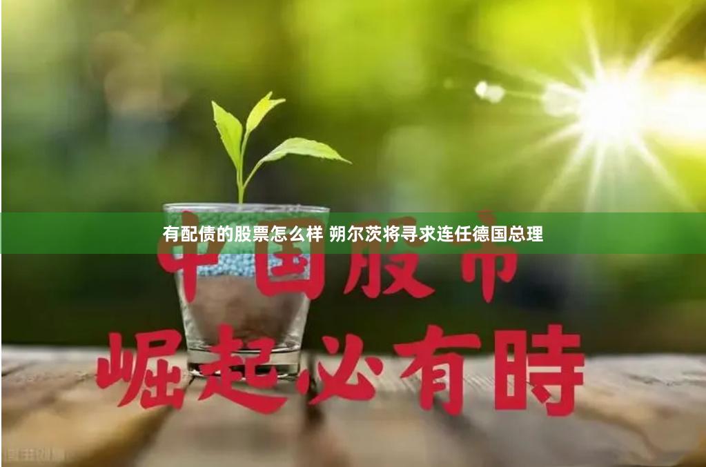 有配债的股票怎么样 朔尔茨将寻求连任德国总理