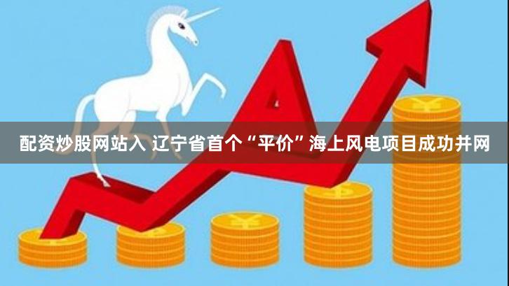 配资炒股网站入 辽宁省首个“平价”海上风电项目成功并网