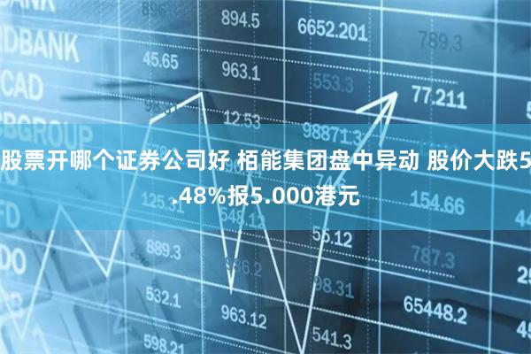 股票开哪个证券公司好 栢能集团盘中异动 股价大跌5.48%报5.000港元