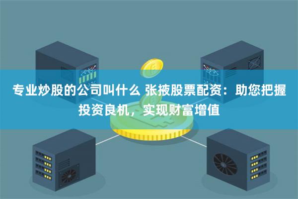 专业炒股的公司叫什么 张掖股票配资：助您把握投资良机，实现财富增值